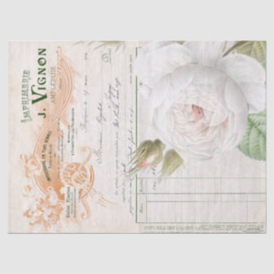 Papel De Seda Argumento Branco Rosa Flor Flor Ephemera Decoupage