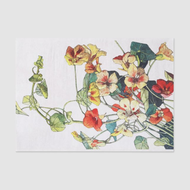 Papel De Seda Art Nouveau Garden Nasturtium Flowers (Frente )