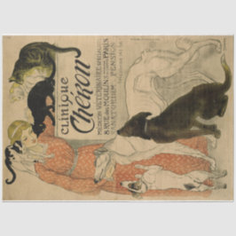 Papel De Seda Art Nouveau Poster 21 Pets Lady Decoupage