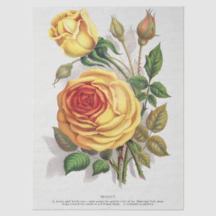 Papel De Seda Arte Botânica Vintage Rosa Amarela e Laranja do Pô