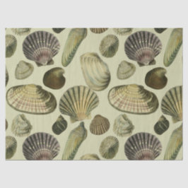 Papel De Seda arte da concha do mar vintage