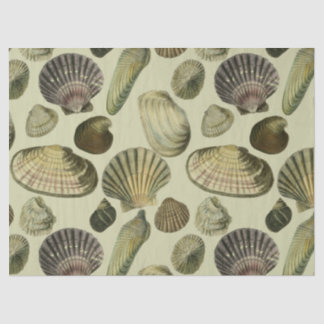 Papel De Seda arte da concha do mar vintage