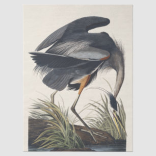 Papel De Seda Arte da Natureza com Garça Azul Grande Vintage Aud