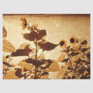 Papel De Seda Arte de Decopagação do Sepia com Girassóis Giga