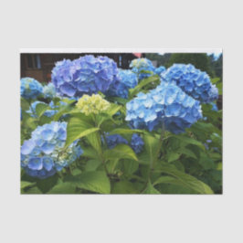 Papel De Seda Arte de Decoupage com Flor de Hortênsia Azul Nikko