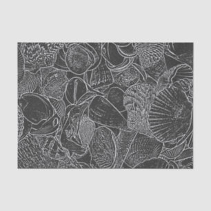 Papel De Seda Arte de desenho de concha de oceano praia preto e 