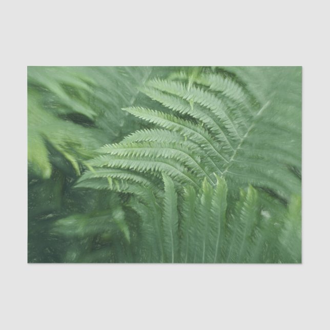 Papel De Seda Arte de Folhas de Samambaia Botânica Verde (Frente )