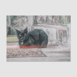 Papel De Seda Arte de Gato Preto Fofo Vintage Antigo Estilo