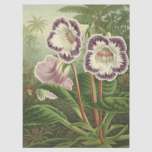 Papel De Seda Arte Floral Tropical Botânica Gloxinia Rosa Roxo