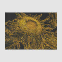 Arte Floral Vintage Amarelo Dourado Preto Girassol