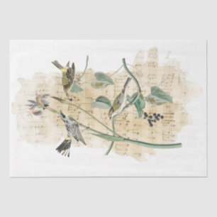 Papel De Seda Artesanato de Decoupage de Aquarela Iris Flower