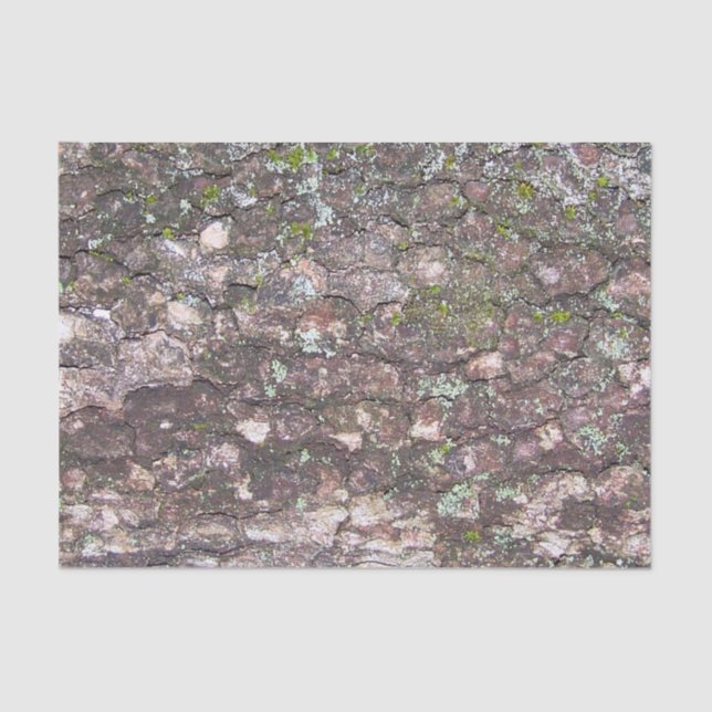 Papel De Seda Árvore 2 - Moss no Latido (Frente )