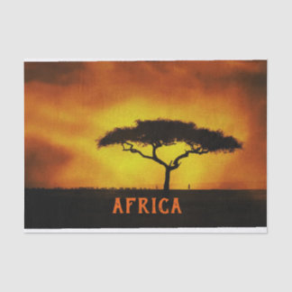 Papel De Seda Árvore Acacia de Paisagem Africana