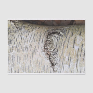 Papel De Seda Árvore Branca