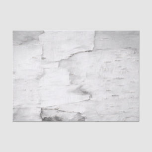 Papel De Seda Árvore de Casca de Bétula Preta e Branca Floresta