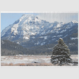 Papel De Seda Árvore de Natal