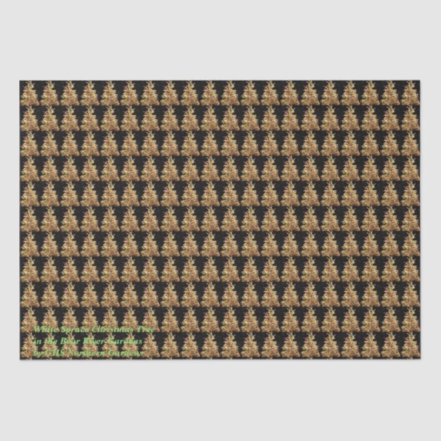 Papel De Seda Árvore de Natal White Spruce (Frente )