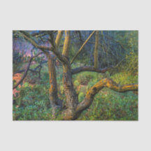 Árvore de Palo Verde