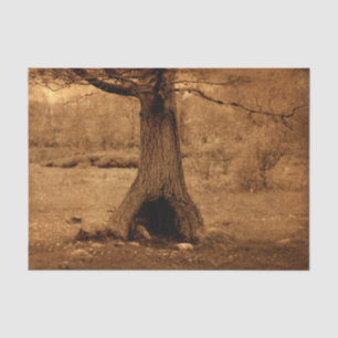 Papel De Seda Árvore Florestal Antiga Textura Russa Vintage