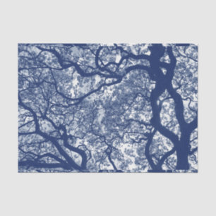 Papel De Seda Árvore Magnolia - Efeito de Cianótipo