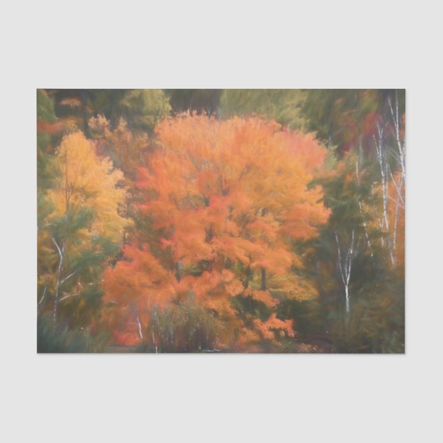 Papel De Seda Árvores Caem Floresta Florestal Laranja Amarelo Bo (Frente )