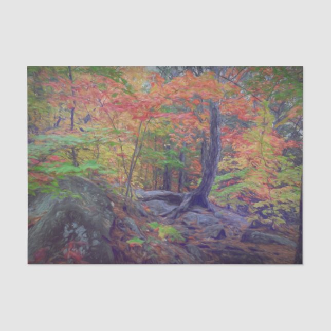 Papel De Seda Árvores da Floresta de Outono Vermelho Laranja Ver (Frente )