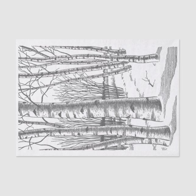 Papel De Seda Árvores De Aves No Inverno (Frente )