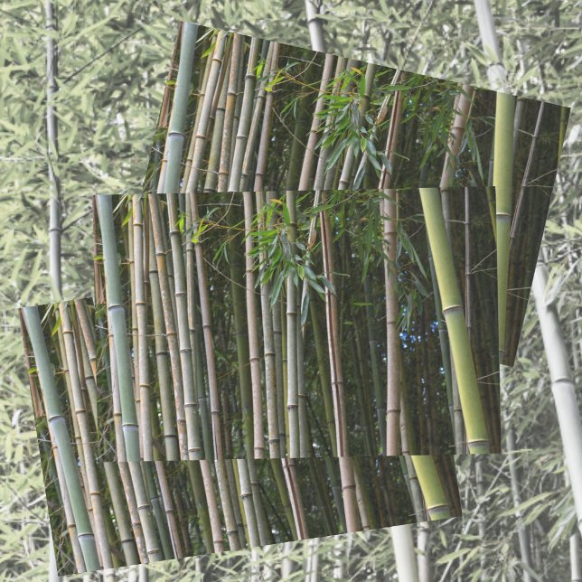 Papel De Seda Árvores de bambu cultivam fotografia natural (Criador carregado)