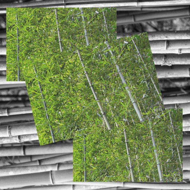 Papel De Seda Árvores de Bambu Verde Cultivam Fotografia Natural (Criador carregado)