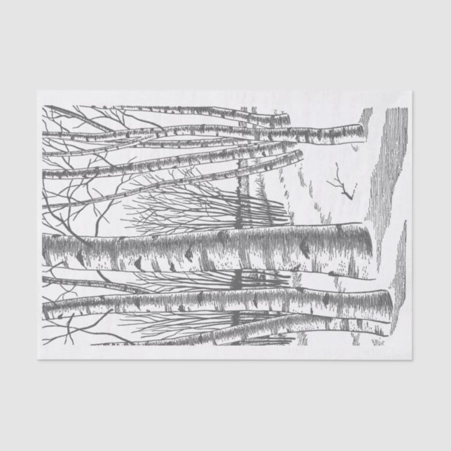 Papel De Seda Árvores de Bétula no Inverno (Frente )