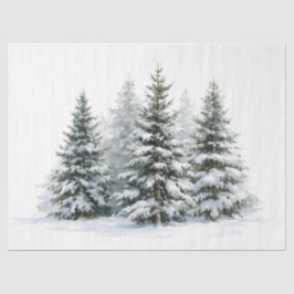 Papel De Seda Árvores de Pinheiro no Inverno