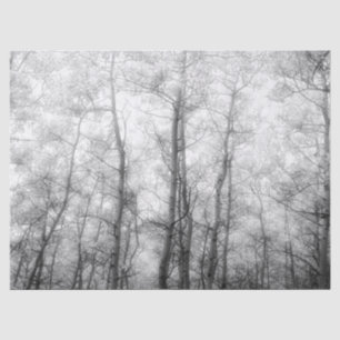 Papel De Seda Árvores em Aspen - Preto e Branco