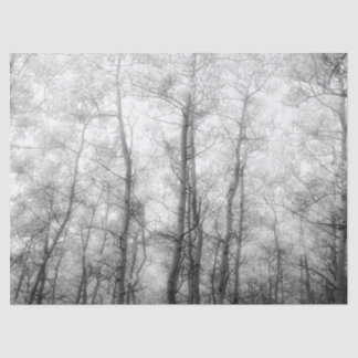 Papel De Seda Árvores em Aspen - Preto e Branco
