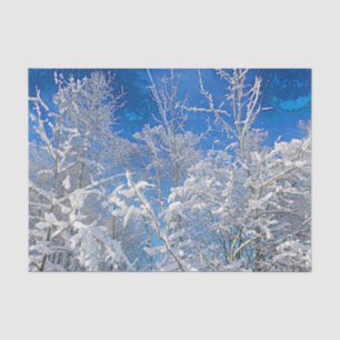 Papel De Seda Árvores Inverno Neve Coberta Céu Azul Pintura Pais