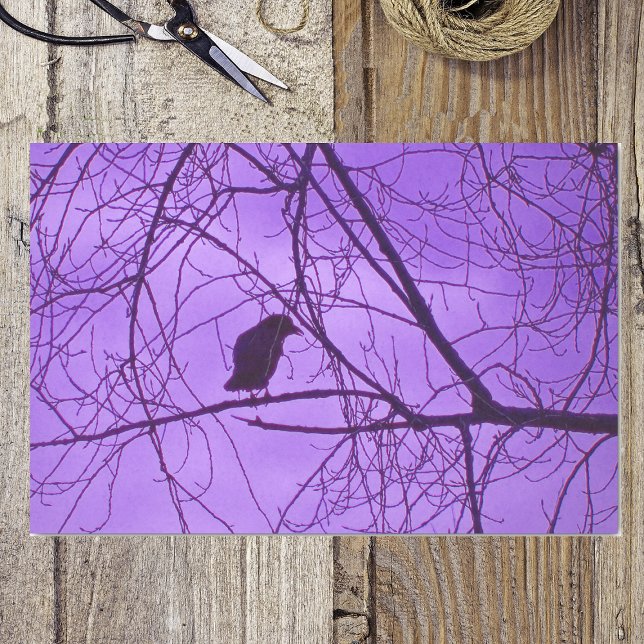 Papel De Seda Árvores Negras Roxas do Céu Negro (Silhouette single black crow in barren tree branches purple hazy sky on tissue wrapping paper.)