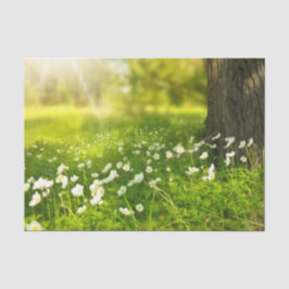 Papel De Seda As alegrias da Primavera