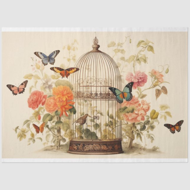 Papel De Seda Asas Graciosas: Decoupage da Birdcage (Frente )