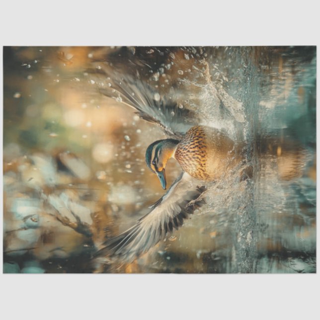 Papel De Seda Aterrissagem De Pato De Disco No Lago (Frente )