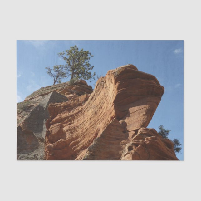 Papel De Seda Aterrissagem em Anjos no Parque Nacional de Zion (Frente )