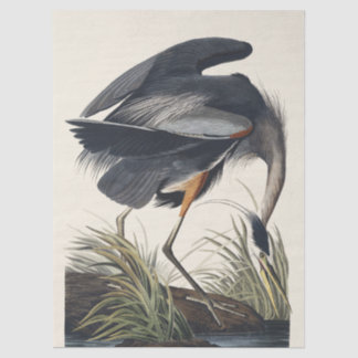 Papel De Seda Audubon Great Blue Heron Wetland Majesty