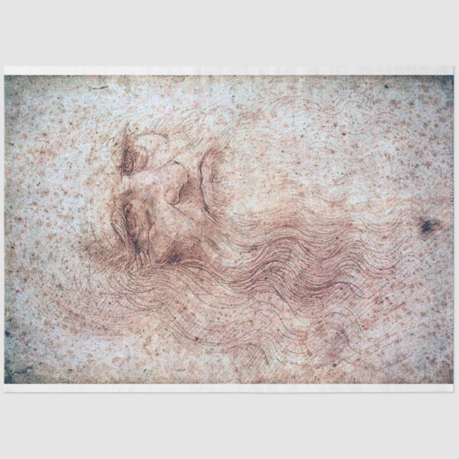 Papel De Seda Autorretrato, Leonardo da Vinci (Frente )