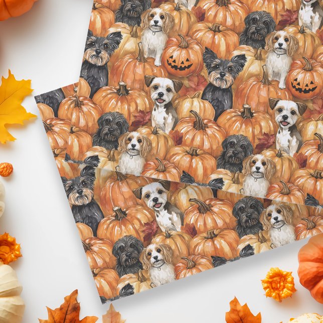 Papel De Seda Autumn Dogs in a Pumpkin Patch Halloween (Criador carregado)