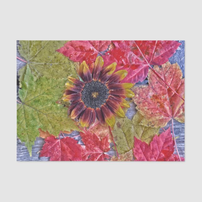 Papel De Seda Autumn Sunflower Red Yellow Mapeador Deixa Madeira (Frente )
