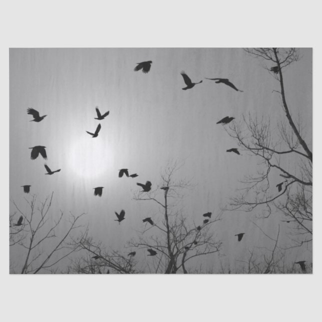 Papel De Seda Aves bonito (Frente )