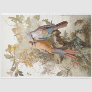 Papel De Seda Aves com penas longas