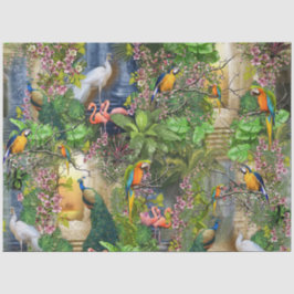 Papel De Seda Aves do Paraíso