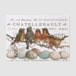 Papel De Seda Aves e Ovos Vintage Nomes da Cidade Francesa Desap