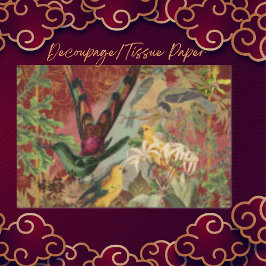 Papel De Seda Aves e Verde