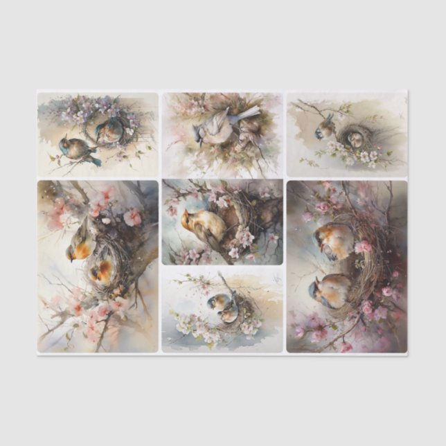 Papel De Seda Aves primavera (Frente )