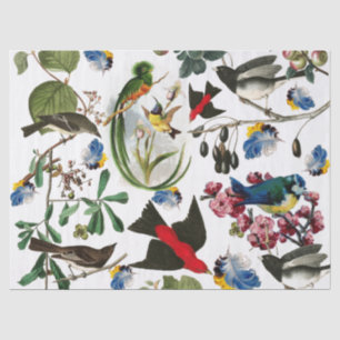 Papel De Seda AVES-primavera, PENAS COLORIDAS E FRUTAS